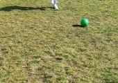 IMG20250312123928